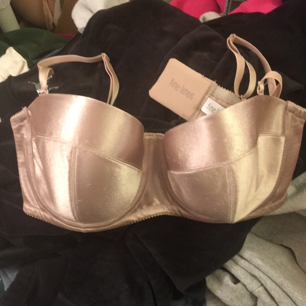 Beautiful silk bra by fine lines